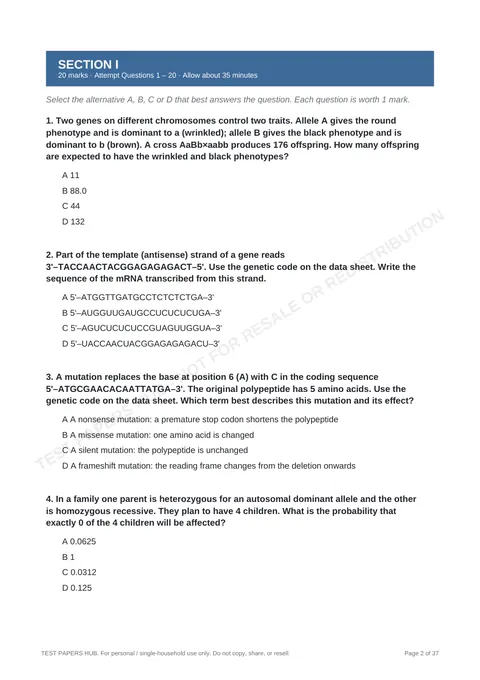Questions preview