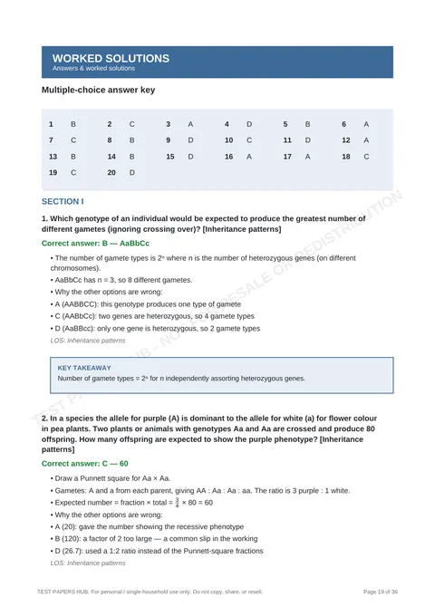 Solutions preview