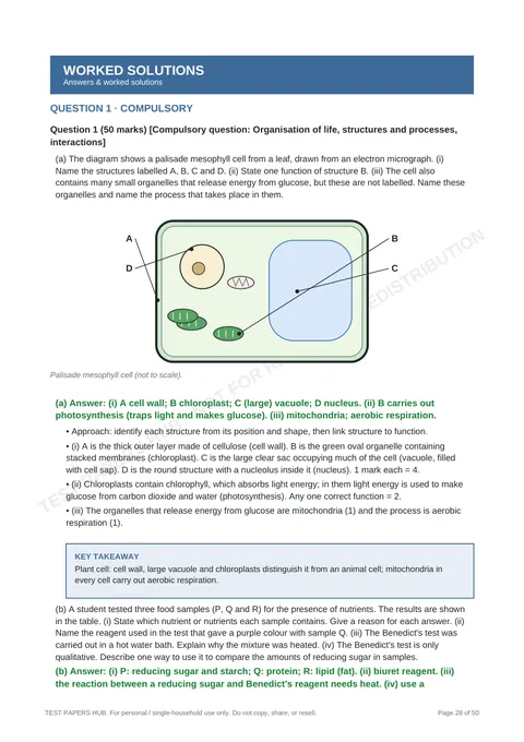 Solutions preview