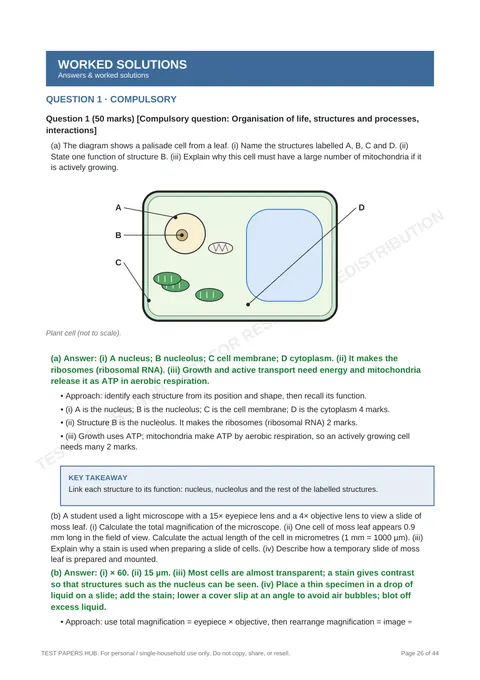 Solutions preview