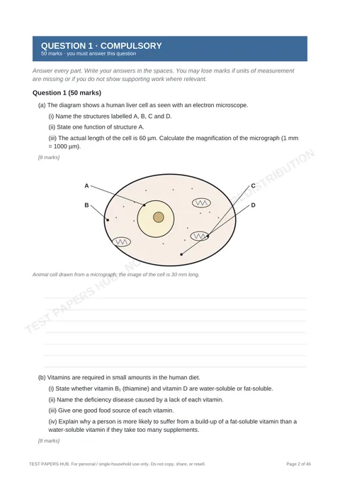Questions preview