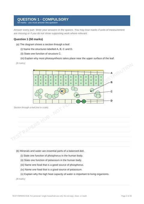 Questions preview