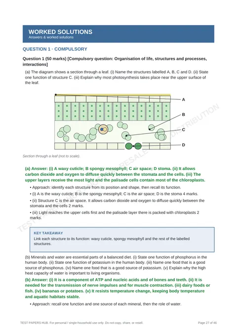 Solutions preview