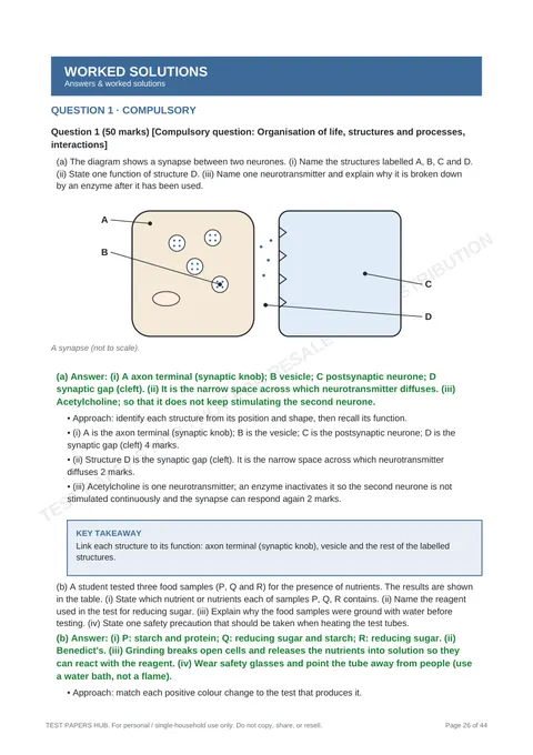 Solutions preview