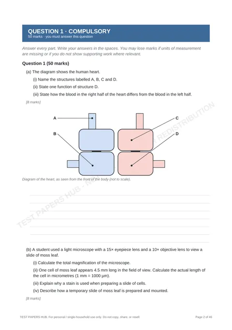 Questions preview
