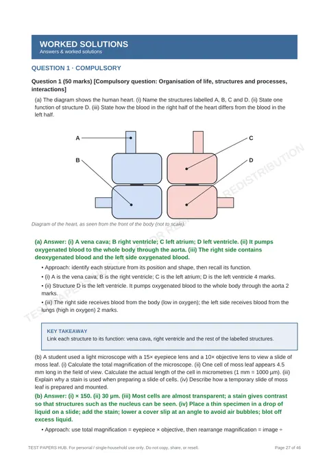 Solutions preview