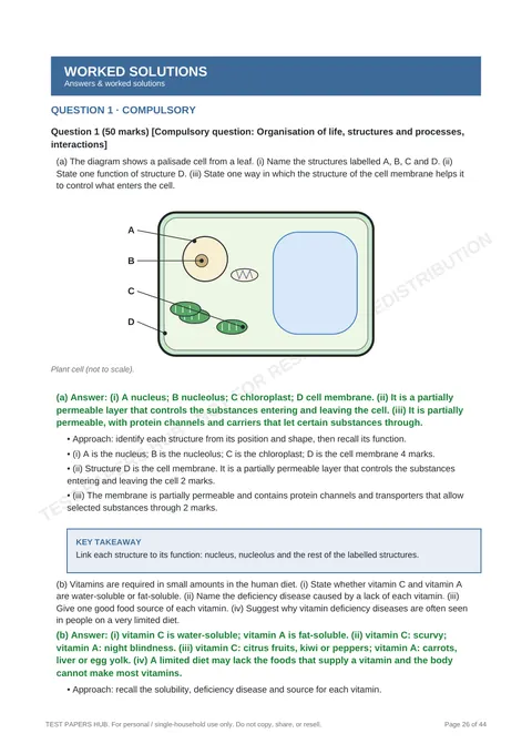 Solutions preview