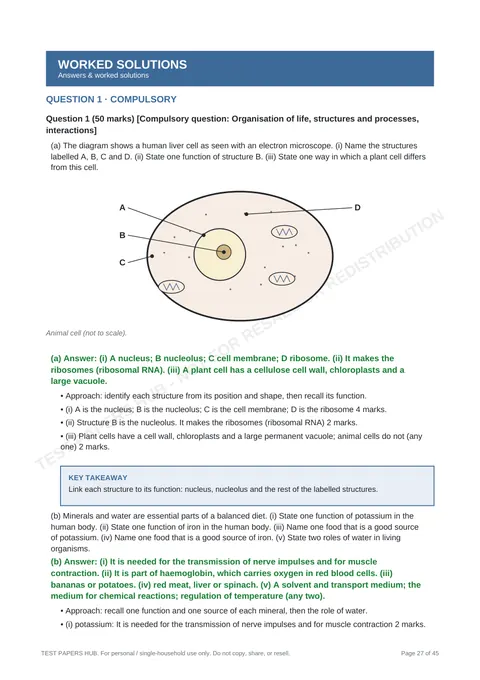 Solutions preview