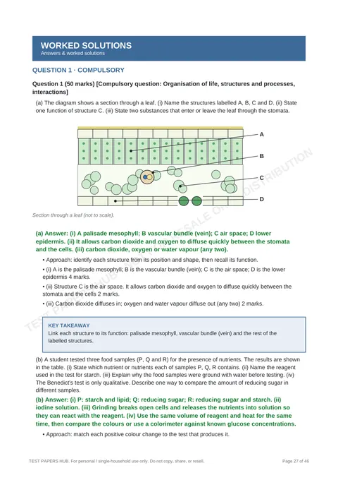 Solutions preview