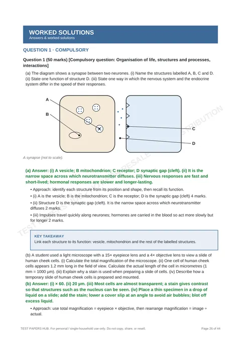 Solutions preview