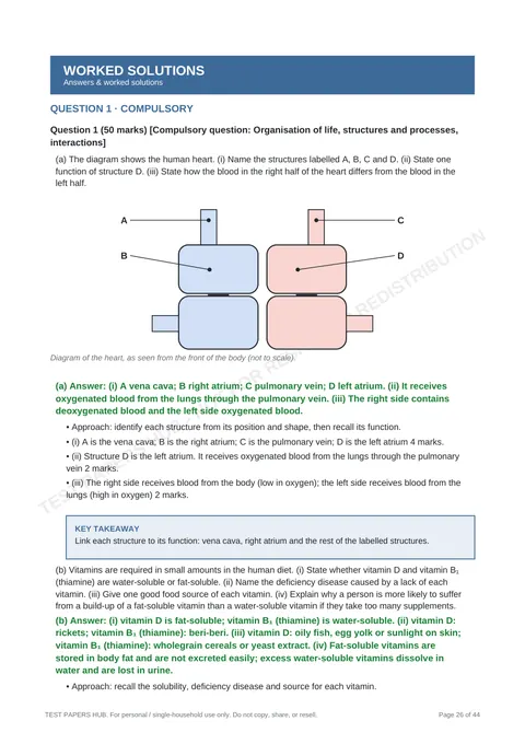 Solutions preview