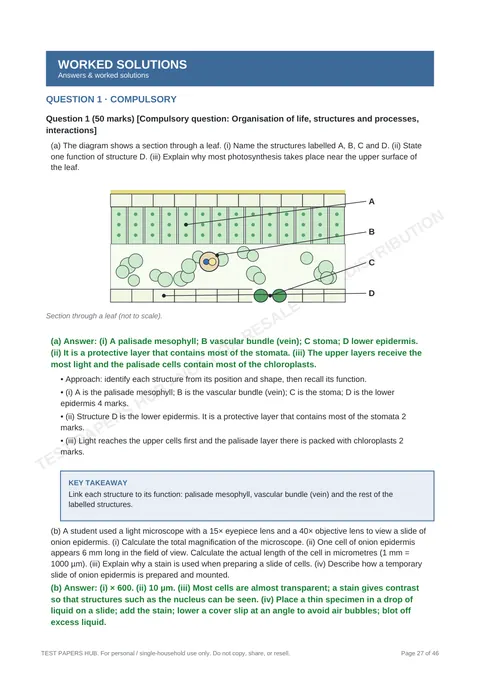 Solutions preview