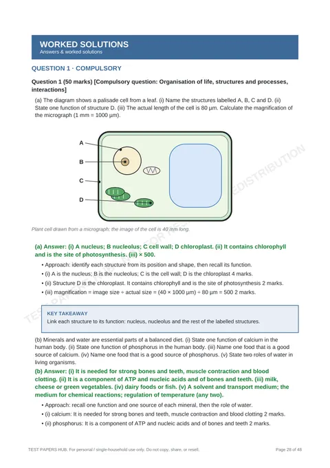 Solutions preview