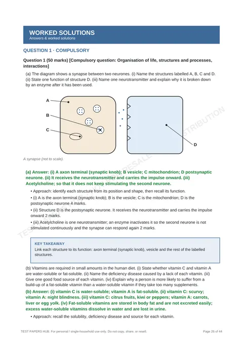 Solutions preview