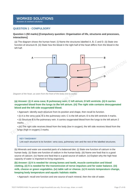 Solutions preview