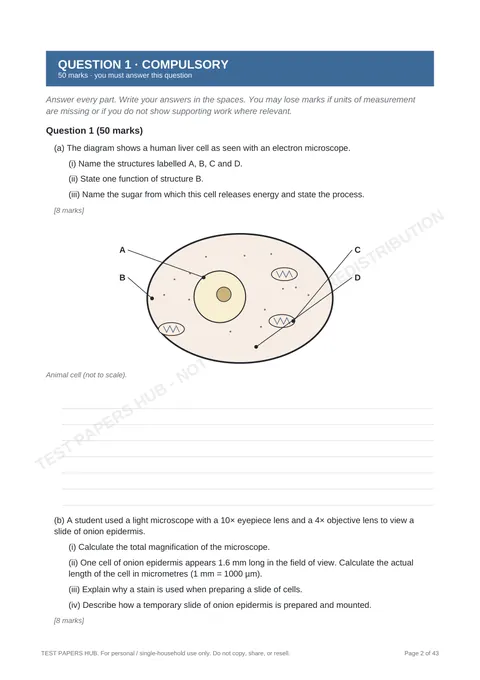 Questions preview