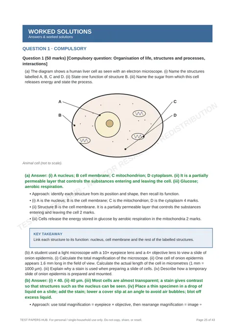 Solutions preview