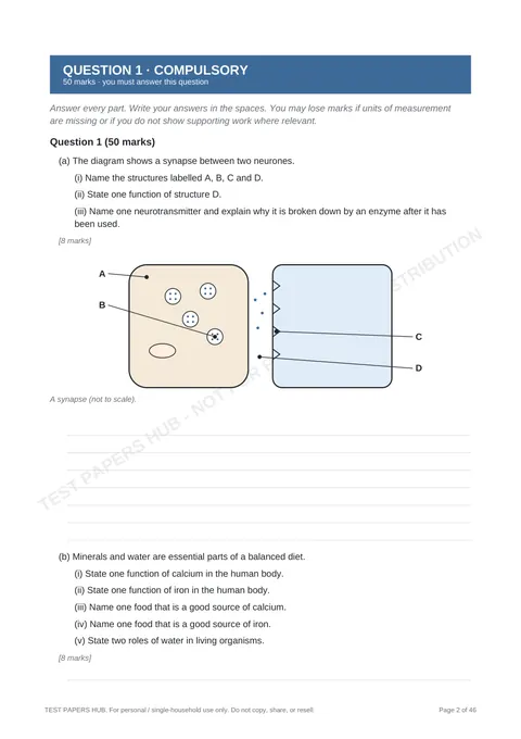 Questions preview