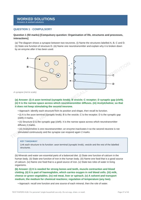 Solutions preview