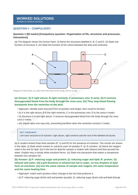 Solutions preview