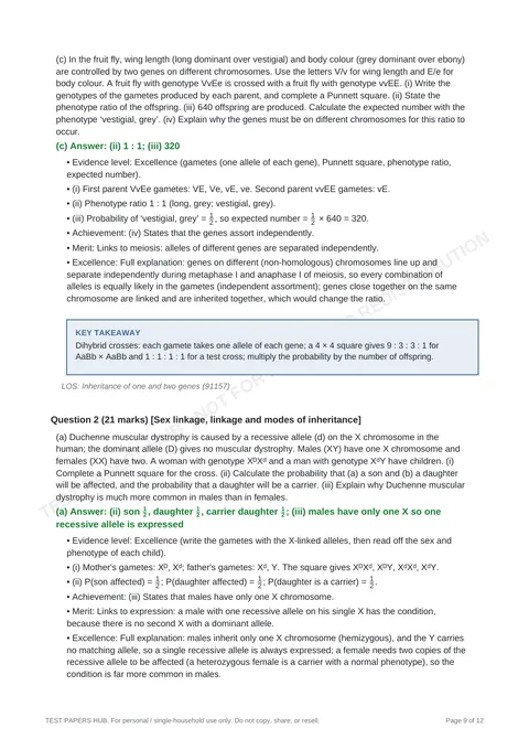 Solutions preview