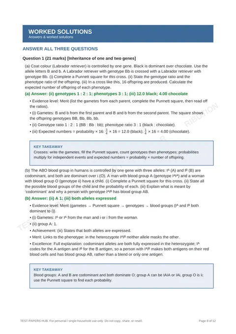 Questions preview