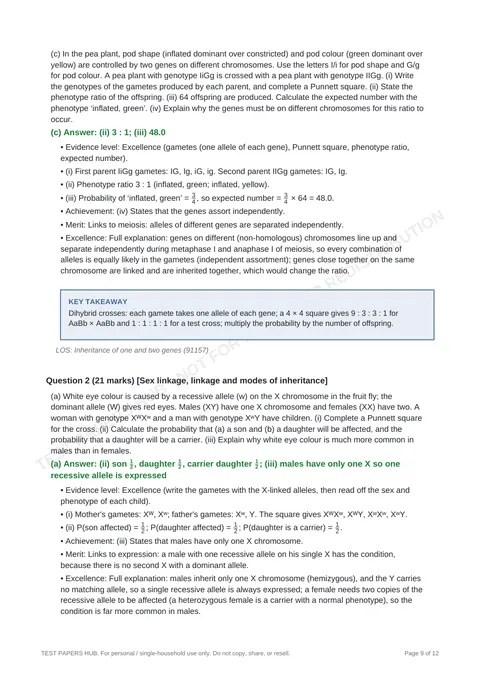 Solutions preview