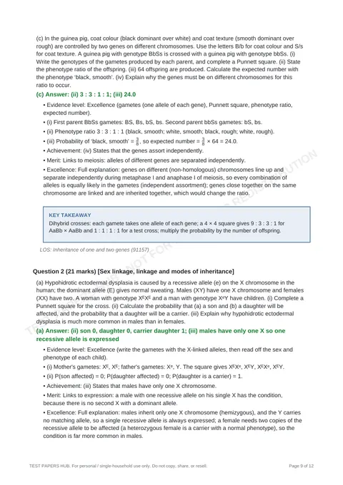 Solutions preview