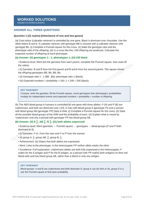 Questions preview