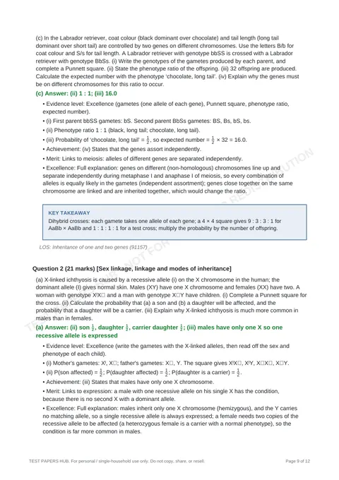 Solutions preview