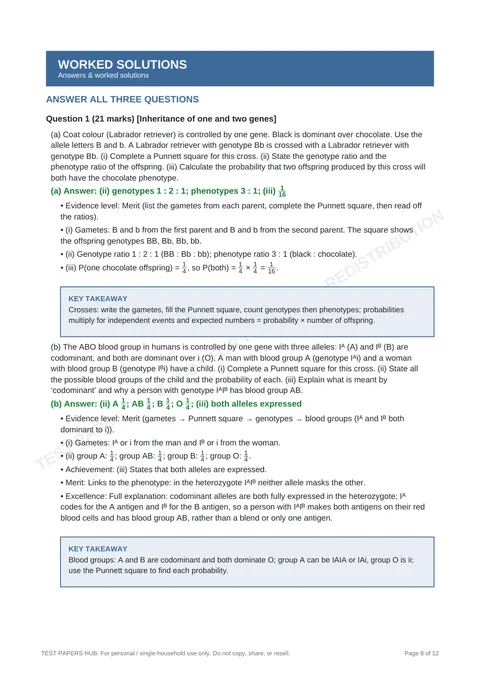 Questions preview