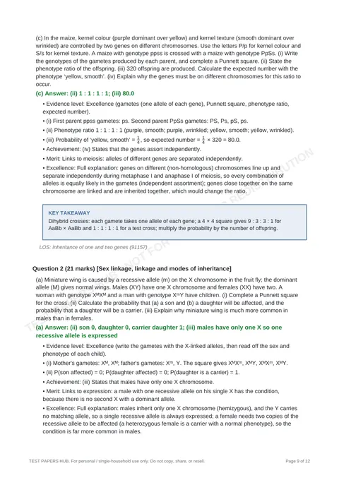 Solutions preview