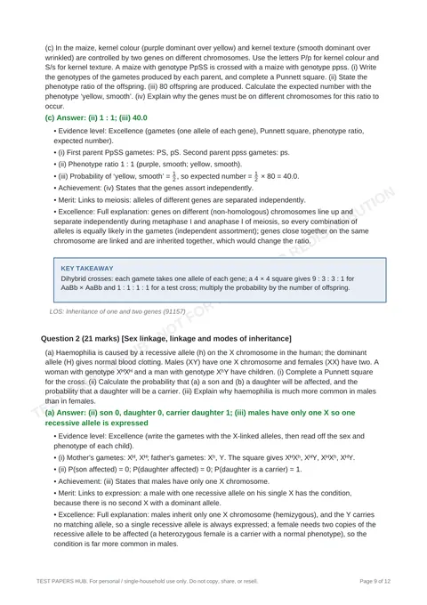 Solutions preview