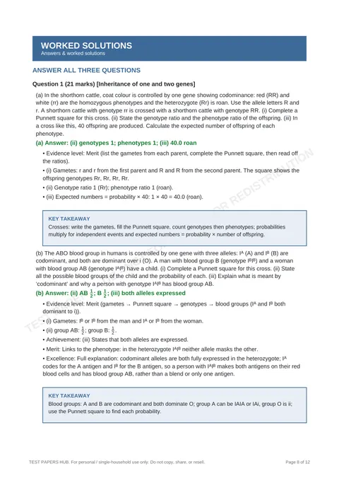 Questions preview