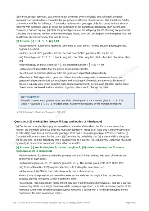 Solutions preview