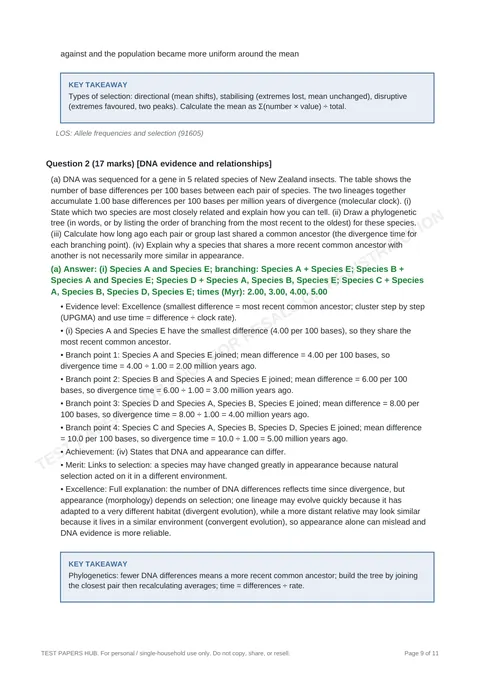 Solutions preview
