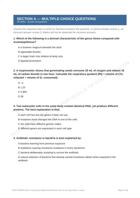 Questions preview